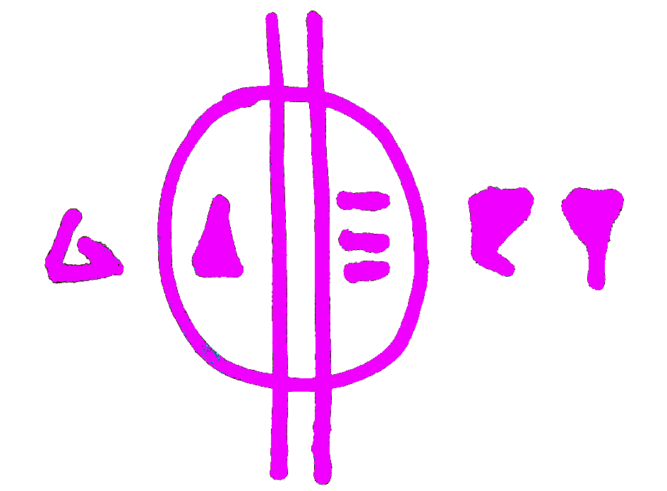 GalleryO